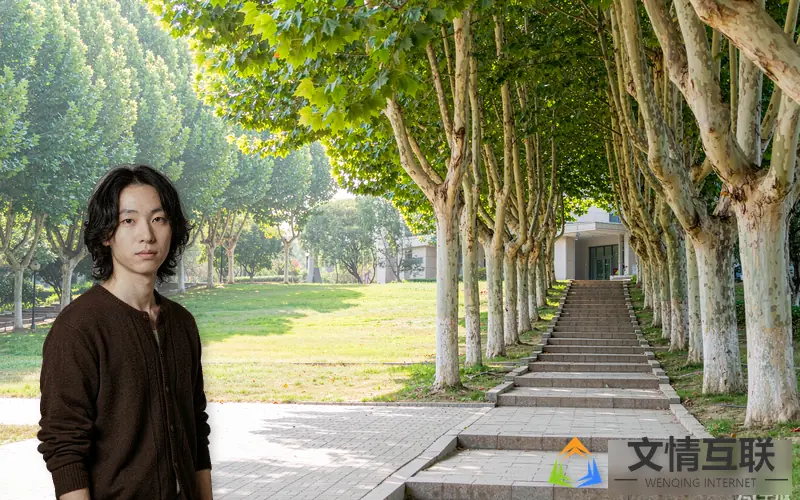 专升本升学阶梯示意图