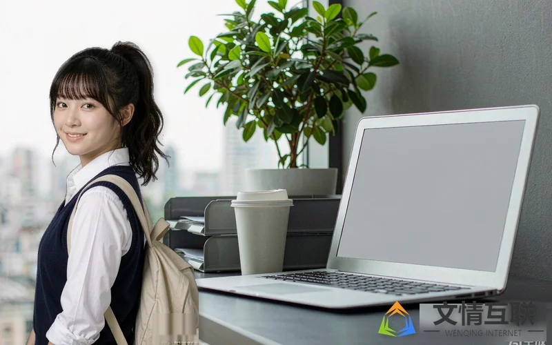 自学考试成绩查询示意图